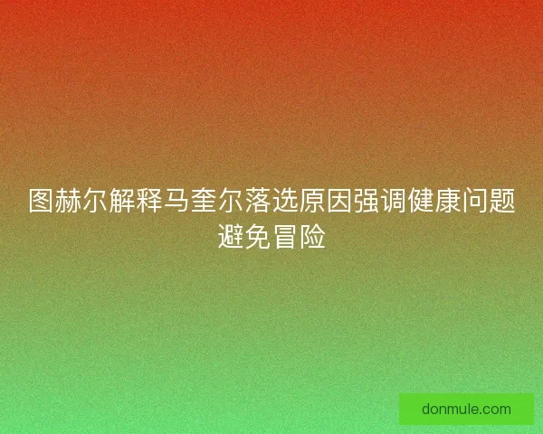 图赫尔解释马奎尔落选原因强调健康问题避免冒险